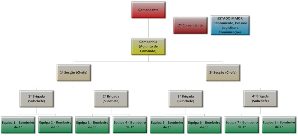 organizacao